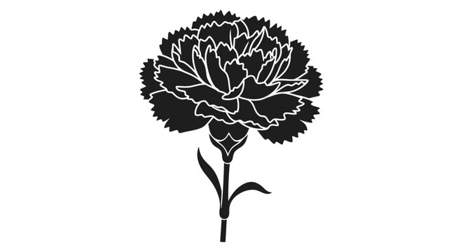 Elegant monochrome carnation flower illustration for graphic design and decoration needs