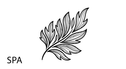 Elegant hand drawn botanical illustration of a fern leaf for spa and wellness design applications © Alis