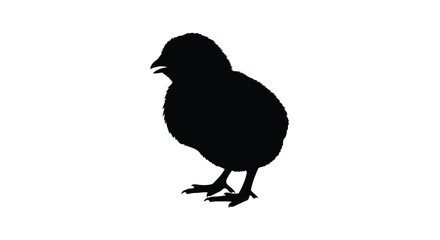 Fototapeta premium A simple black silhouette of a young chick standing prominently