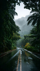 Rainy Winding Road Through Misty Tropical Forest