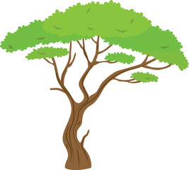 Stylized illustration of a distinctive savanna tree featuring a robust brown trunk and lush green foliage, perfect for nature-themed designs and educational materials
