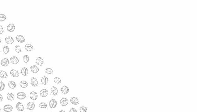 Walnut Pattern Illustration with Hand Drawn Line Art Minimal Background. Abstract Design