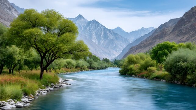 Indus river flowing through Himalayas valley landscape with trees