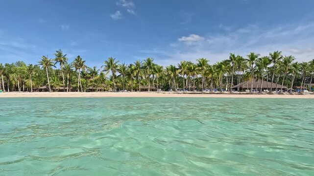 Turquoise Water and Palm Tree Beach in Panglao, Philippines. Serene Tropical Paradise View from Sea Level, Perfect for Travel, Vacation and Resort Themes