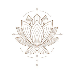 Obraz premium vector illustration of lotus flower
