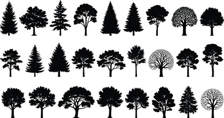 Comprehensive collection of tree silhouettes, from coniferous to deciduous, offering diverse natural elements for design. © Nafij World