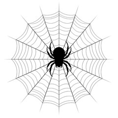 Obraz premium Symmetrical spider web with intricate pattern