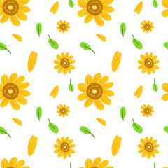 Obraz premium Sunflower Sunshine (png)