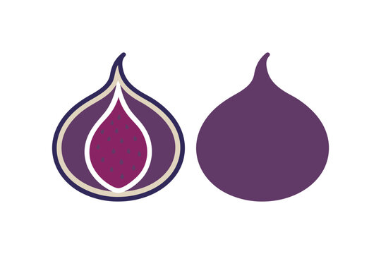 Fresh purple fig fruit icon design with sliced half showing seeds on white background vector style