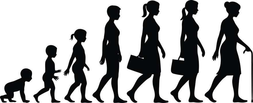 Silhouettes depicting the chronological life stages of a woman from infancy to old age