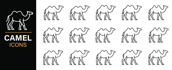 Obraz premium Camel outline icon set with desert animal silhouettes