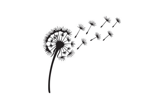 Dandelion flower with flying seeds vector illustration on a white background with gentle breeze