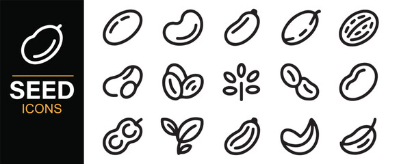 Fototapeta premium Botanical bean and seed line icons for eco and nature projects