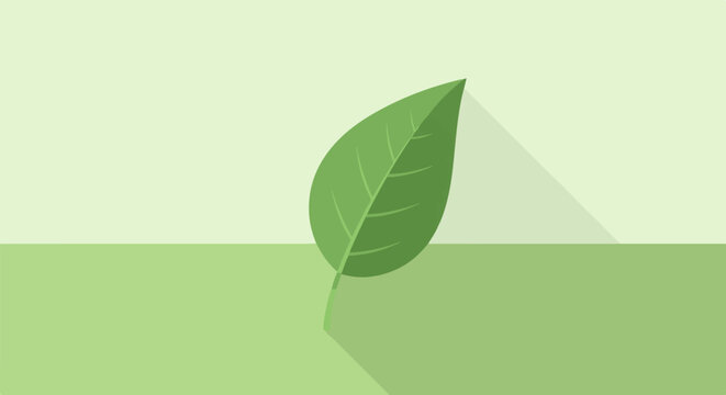 A single green leaf is depicted against a muted green and light green background