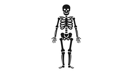 Obraz premium human skeleton vector illustration