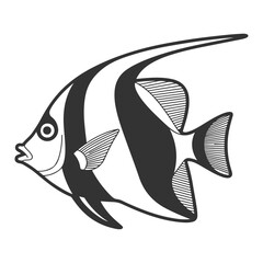 Obraz premium Black and white angelfish isolated on white background