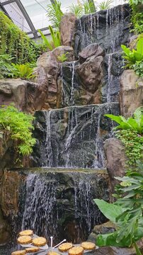 butterflies feeding on pineapples by a lush cascading waterfall