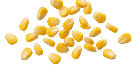 Fototapeta premium Vibrant yellow corn kernels dynamically falling and scattering, showcasing fresh sweet maize as a healthy natural food ingredient, isolated on transparent background.