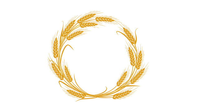 Circular wreath made of golden wheat stalks and ears arranged in a ring on a white background for harvest theme.