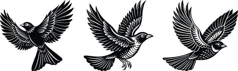 Fototapeta premium Three black and white eagle illustrations in flight