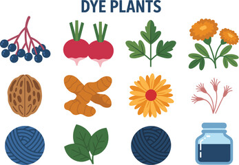 Colorful dye plants with yarn and dye bottle natural dyes