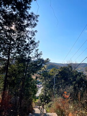 山間部の参道へ続く階段