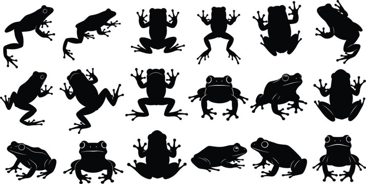 Large set of frog silhouettes and toad icons in various poses including jumping, sitting, and swimming for nature and wildlife designs.