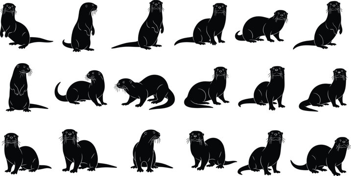 Large collection of playful otter silhouettes in various swimming standing and walking poses featuring semi aquatic wildlife isolated on white background vector set.