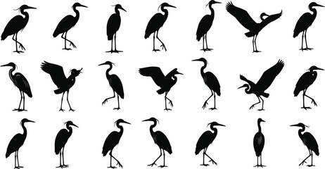 Obraz premium Large collection of heron and crane silhouettes in various standing and flying poses featuring long neck wading birds isolated on white background.
