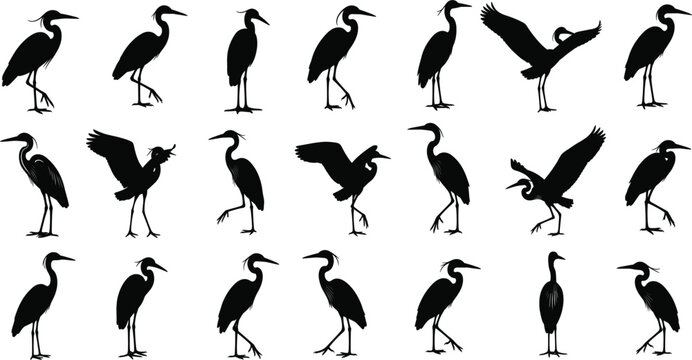 Large collection of heron and crane silhouettes in various standing and flying poses featuring long neck wading birds isolated on white background.