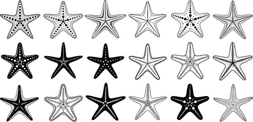 Detailed starfish vector collection featuring various sea star silhouettes and intricate line art illustrations isolated on white background for coastal marine life design. © MdGohurul