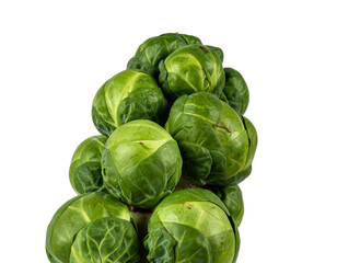 Fresh green sprouts clustered on a stalk, isolated on black