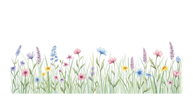 colorful spring flowers