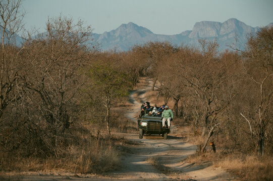 Tourists enjoy a wildlife safari ride on an open vehicle