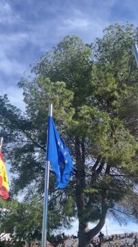 Three flags are flying in the air, one of which is a blue flag with stars. The other two flags are red and white. The scene is set in a forest, with trees surrounding the flags