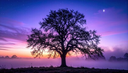 Majestic solitary tree silhouette against a vibrant sunset sky with misty atmosphere