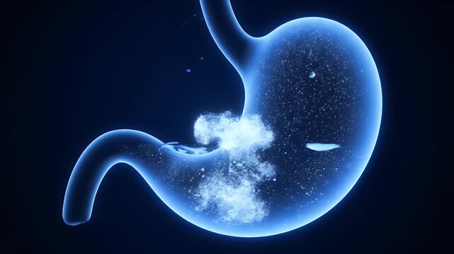 Human Stomach Anatomy Animation in Blue Background Displaying Digestion of Food particles and Stomach acid Secretion