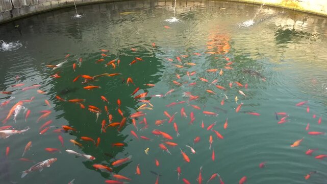  Zhiji Pond of Taiqing Palace in Luyi County, Zhoukou City, Henan Province. This is the ancestral temple revered by all the major Taoist sects in China. 
