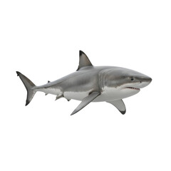 Obraz premium Great white shark swimming in ocean water with sharp teeth and gray skin isolated on transparent background