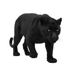 Fototapeta premium Black panther walking silhouette full body portrait fierce wild animal predator isolated on transparent background