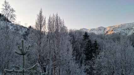 Snow covers trees and mountains in winter landscape near a power line