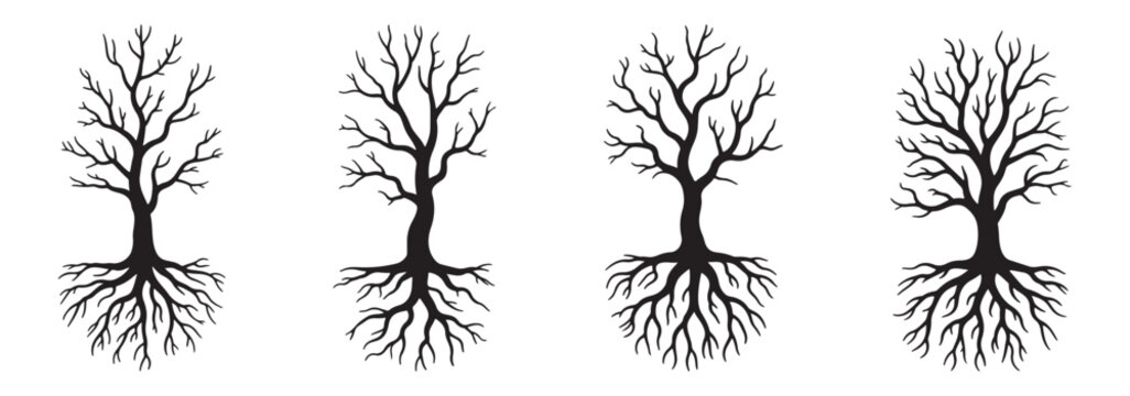 
Leafless tree silhouette collection, winter bare branch trees set isolated on white background, detailed black nature illustration vector forest design