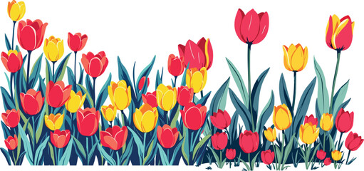 Vsai red and yellow tulip flower bed blooming