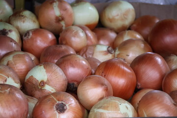 A group of whole onions arranged together, showing natural texture, and fresh culinary ingredients.