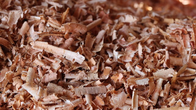 Bench Planer for Wood  Thickness Planer