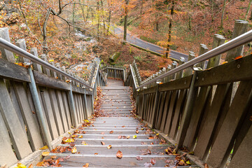 wooden bridge in nature