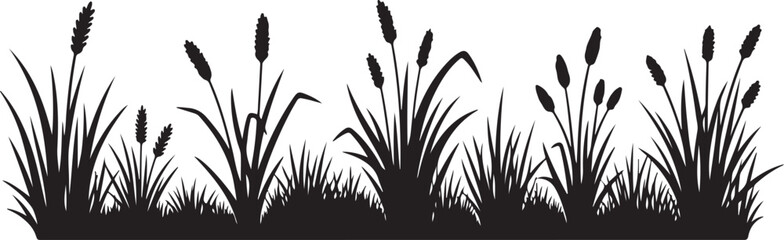 Silhouette of cattails and grass on white background illustration
