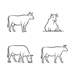 Obraz premium Cows in various poses line drawings