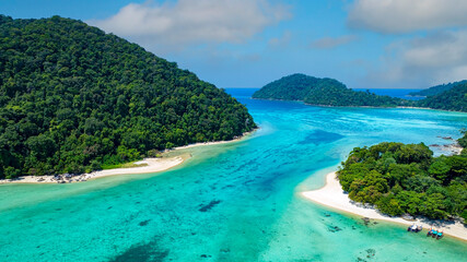 Obraz premium Aerail view with green forest island and the sea. natural ecosystems of forests in the oceans travel holiday concept
