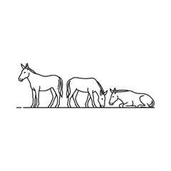 Fototapeta premium Donkeys follow each other line drawing